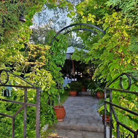 Villa Aelia - Trikorfo Beach Halkidiki Psakoudia
