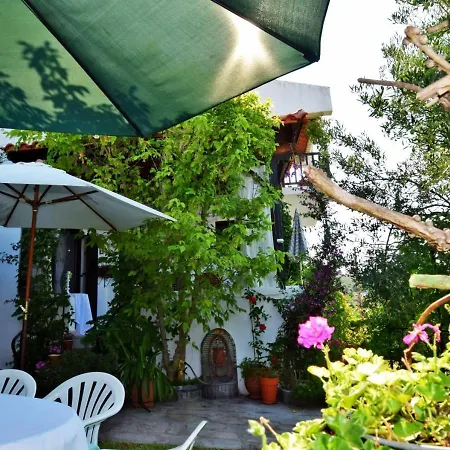 Aelia - Trikorfo Beach Halkidiki Villa